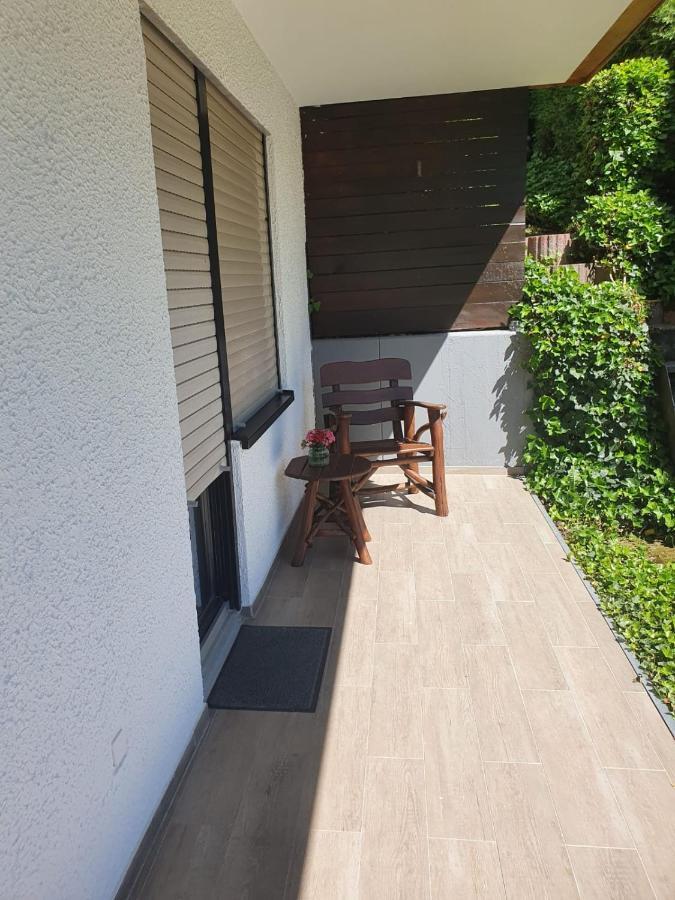 Zum Rheinblick Apartment