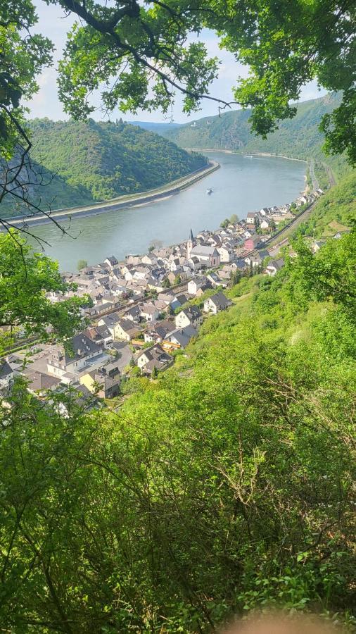 Zum Rheinblick Appartement Kestert