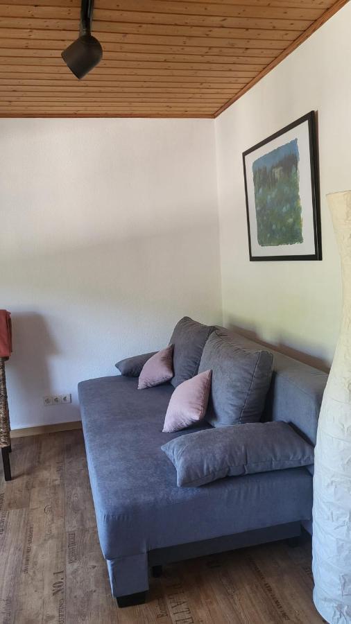 Apartment Zum Rheinblick *