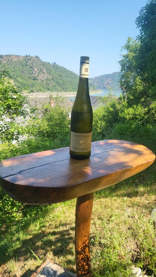 Appartement Zum Rheinblick